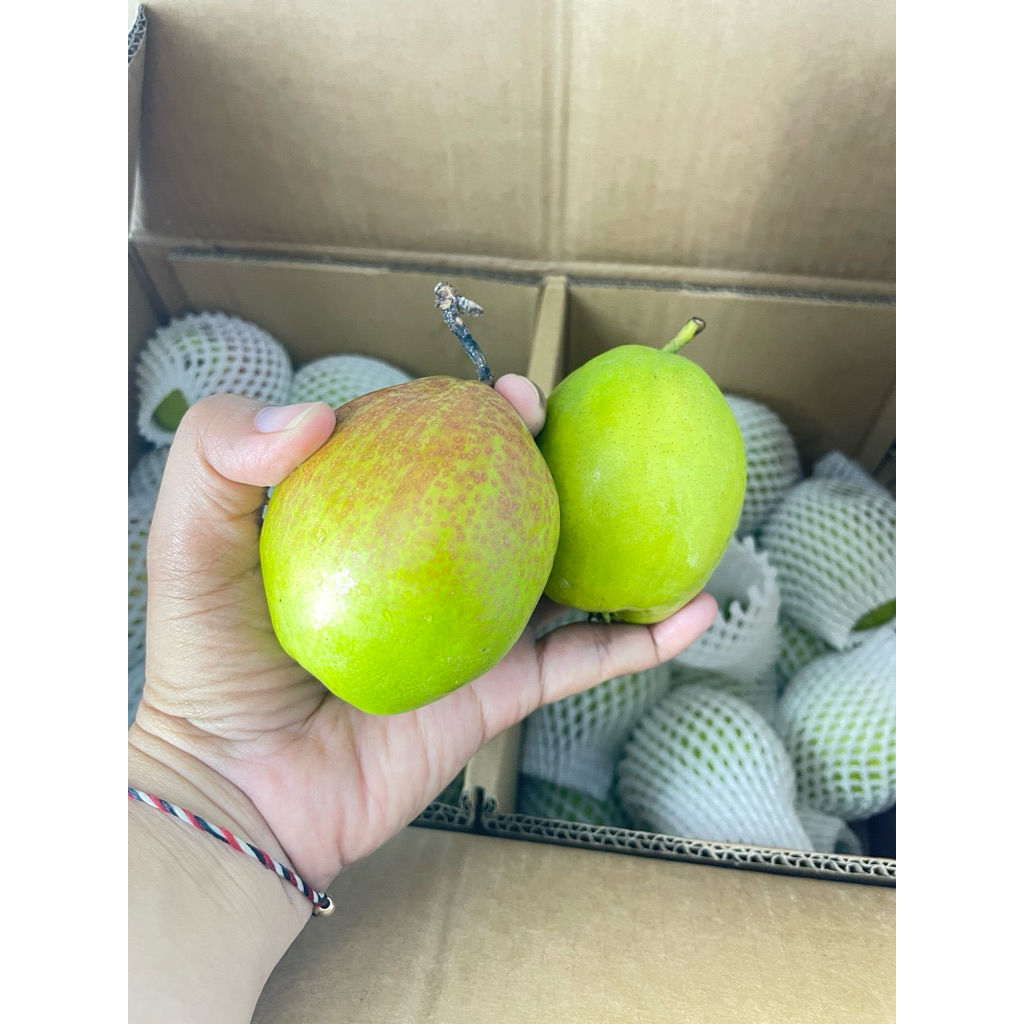 

pear xiang lee kecil