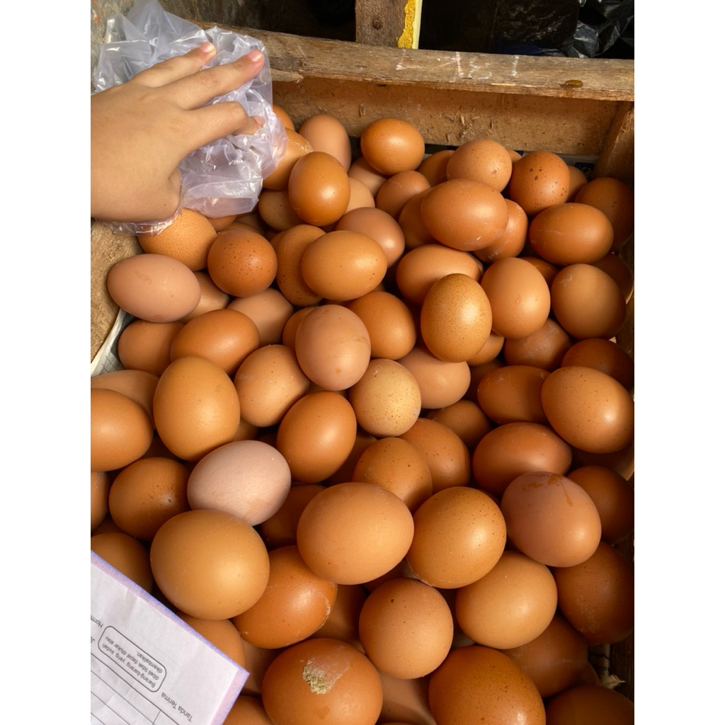 TELUR AYAM 1kg