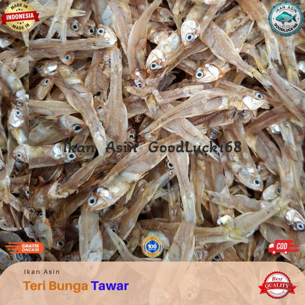 

Ikan Asin Teri Tawar Bunga Lampung
