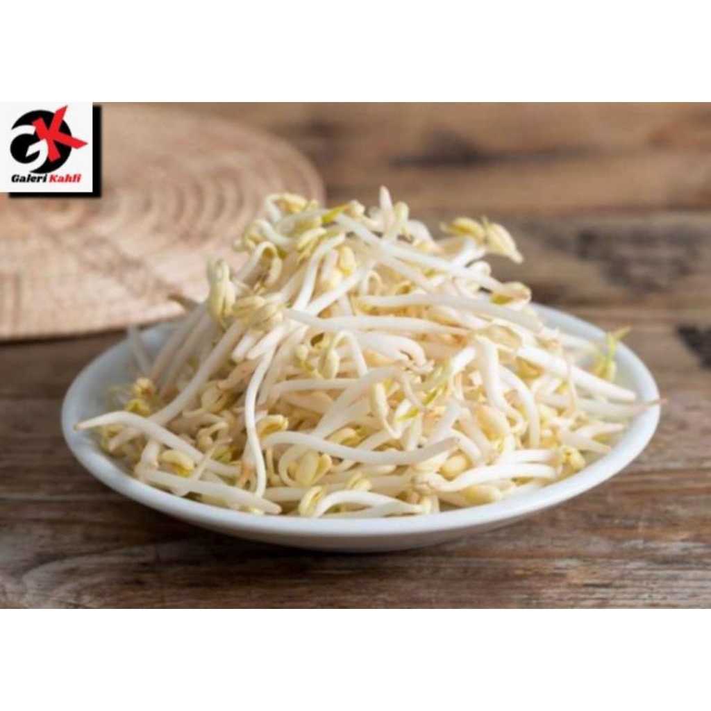 

Toge / Tauge Fresh Berkualitas - 500gr