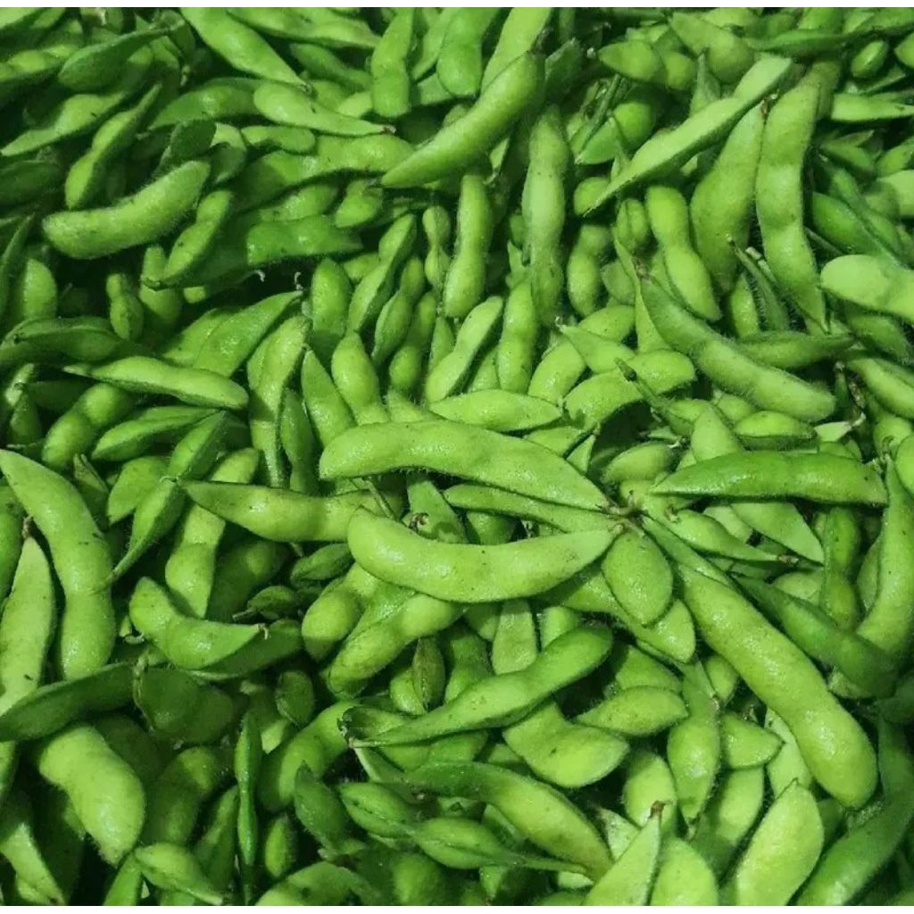 

Edamame jember