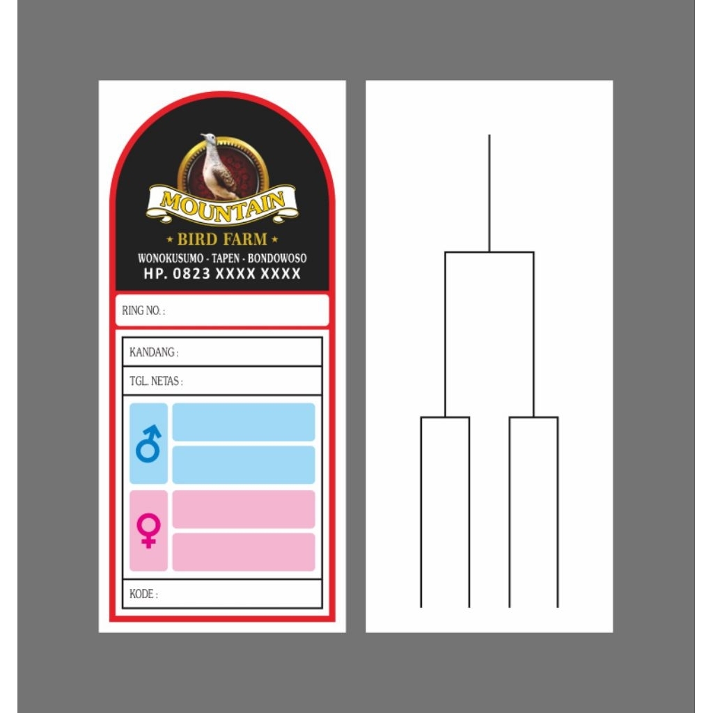 KITIR BURUNG DESAIN SUKA - SUKA | 50 LEMBAR