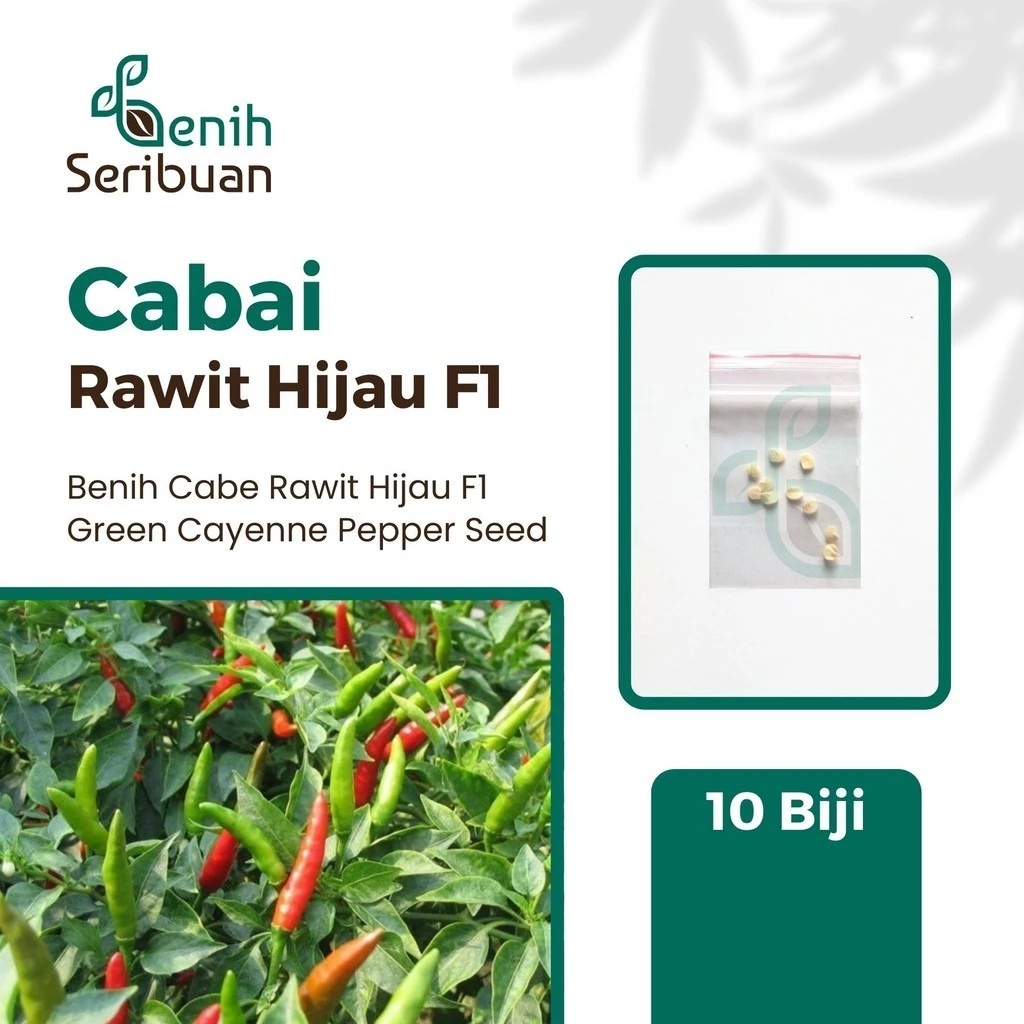 Benih Seribuan - 10 Benih Cabe Rawit Hijau F1 Hibrida
