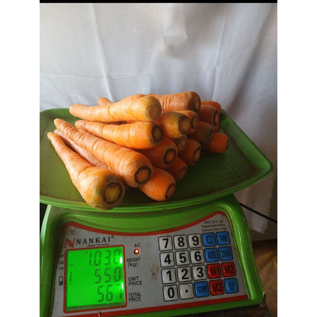 

wortel segar, sayuran wotel