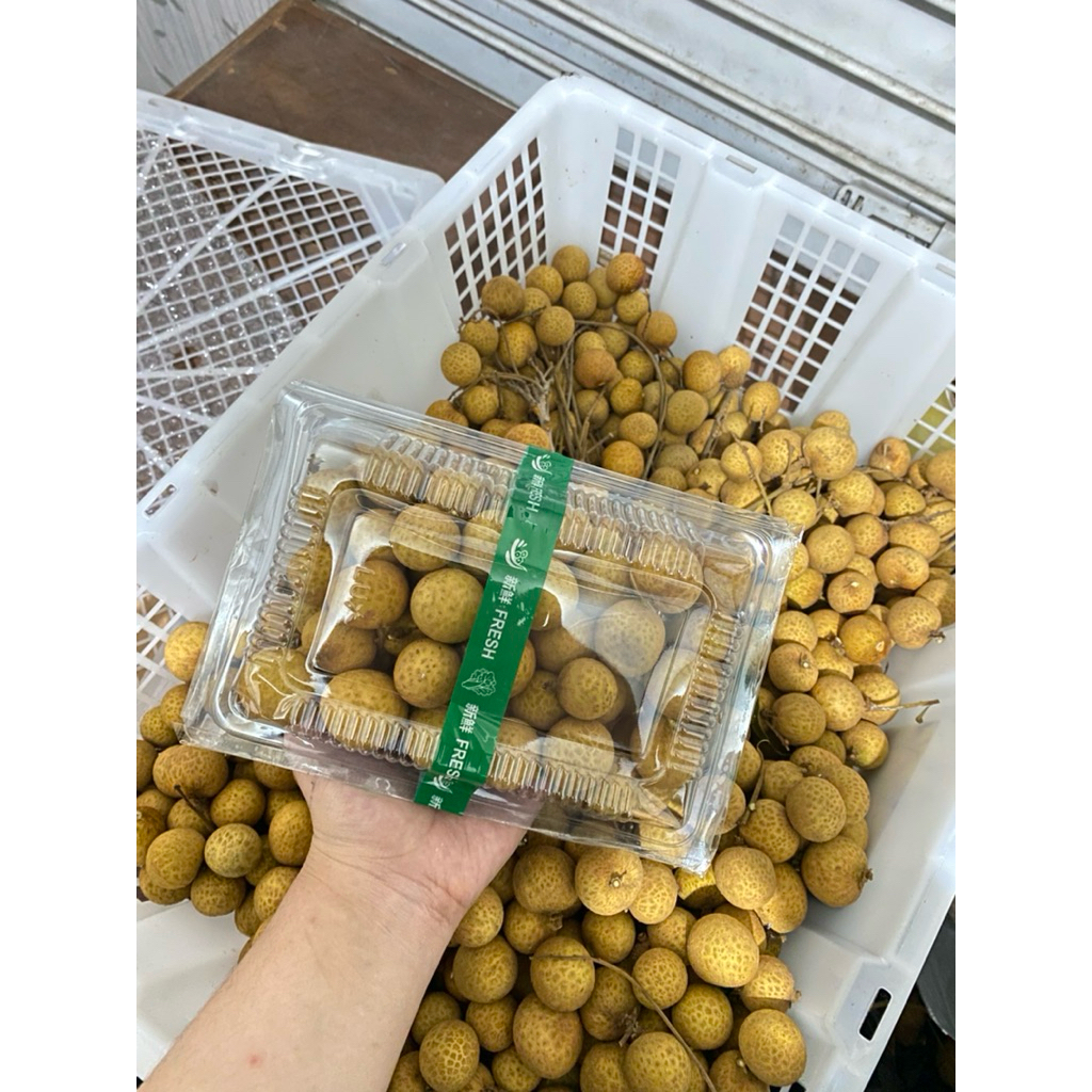 

KELENGKENG THAILAND IMPORT 500gram (Fresh)