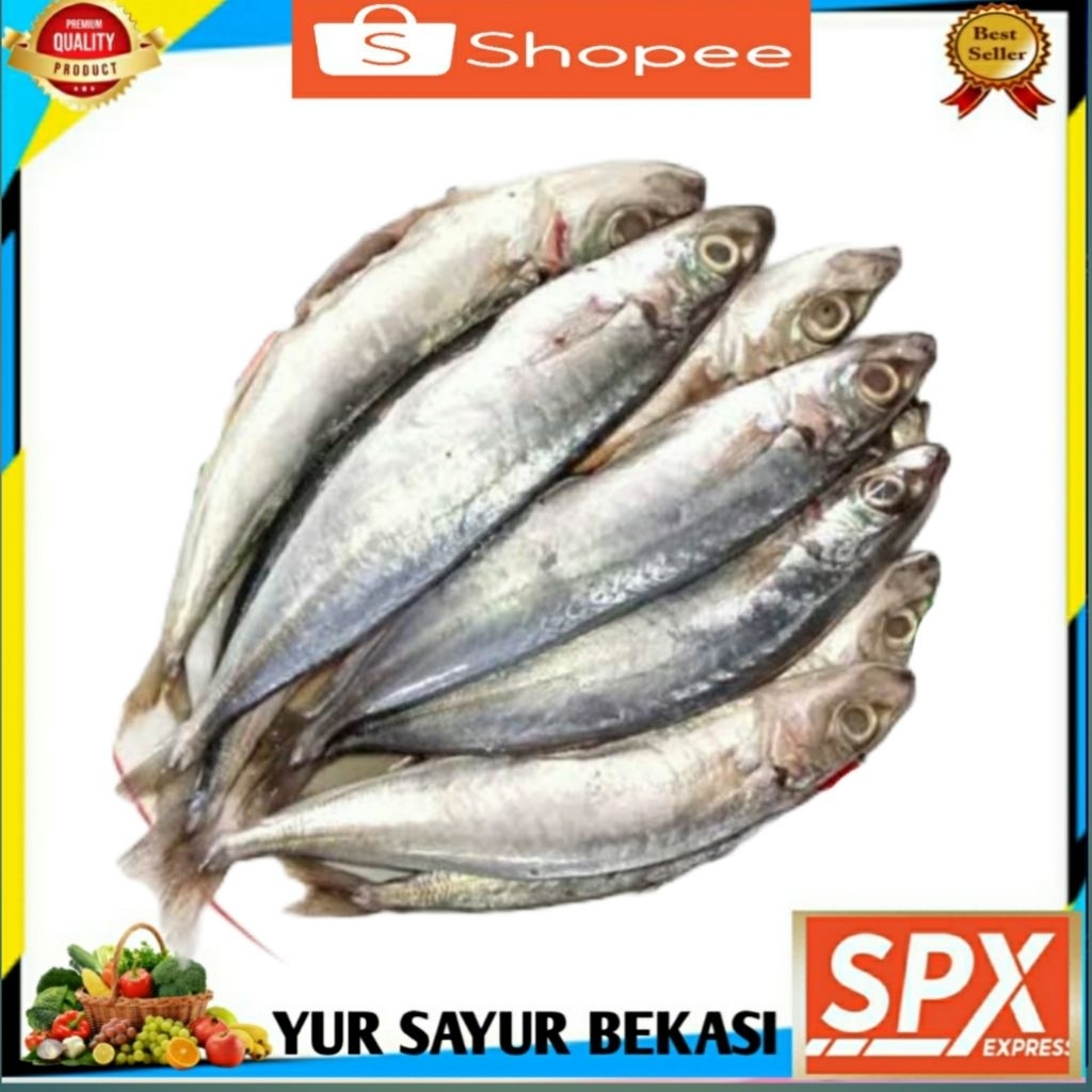 

Ikan Layang/Dencis Segarr Fresh 500gr.