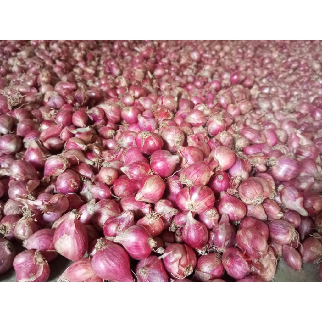 

bawang merah 1kg