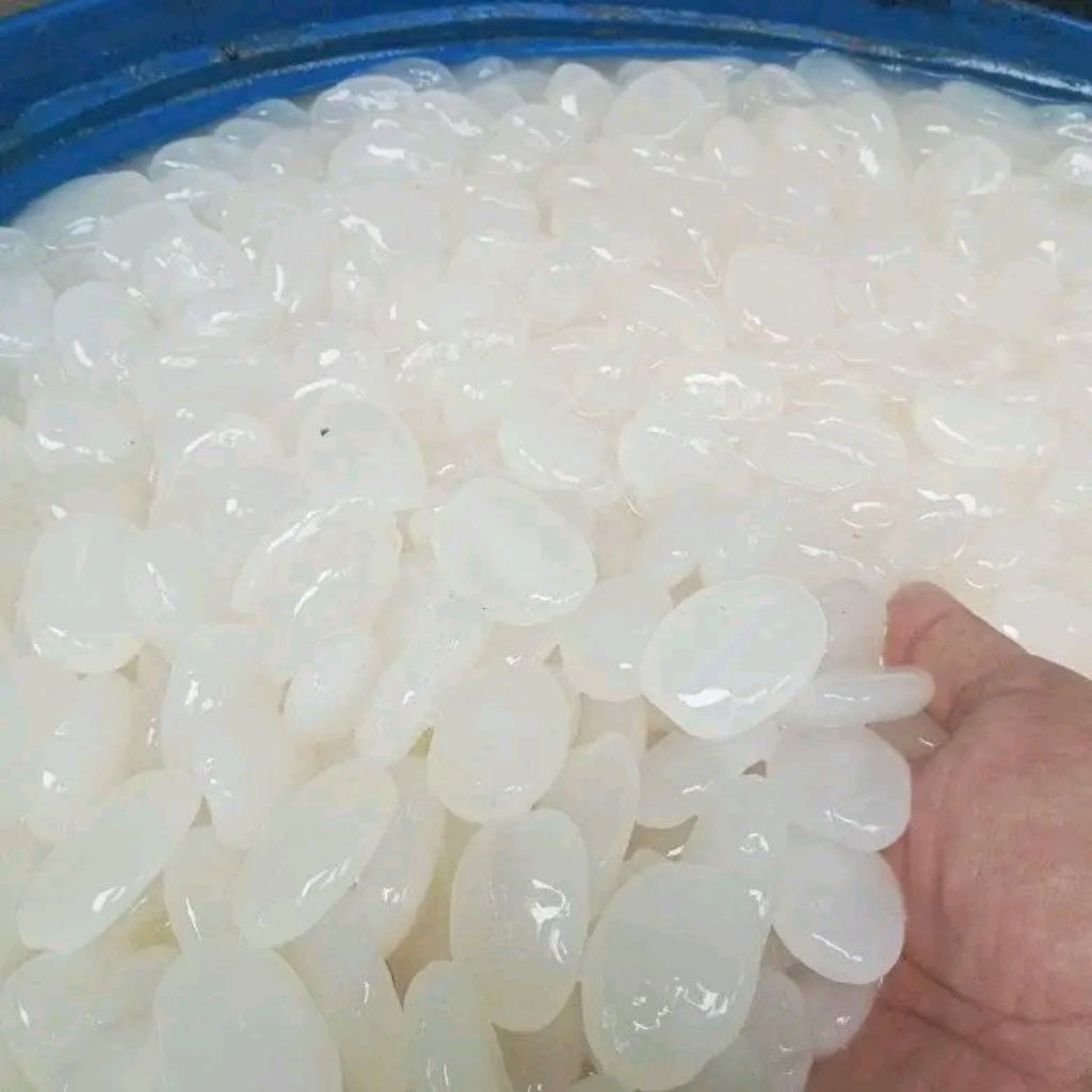 

Kolang kaling segar asli kenyal original bersih 1.kg