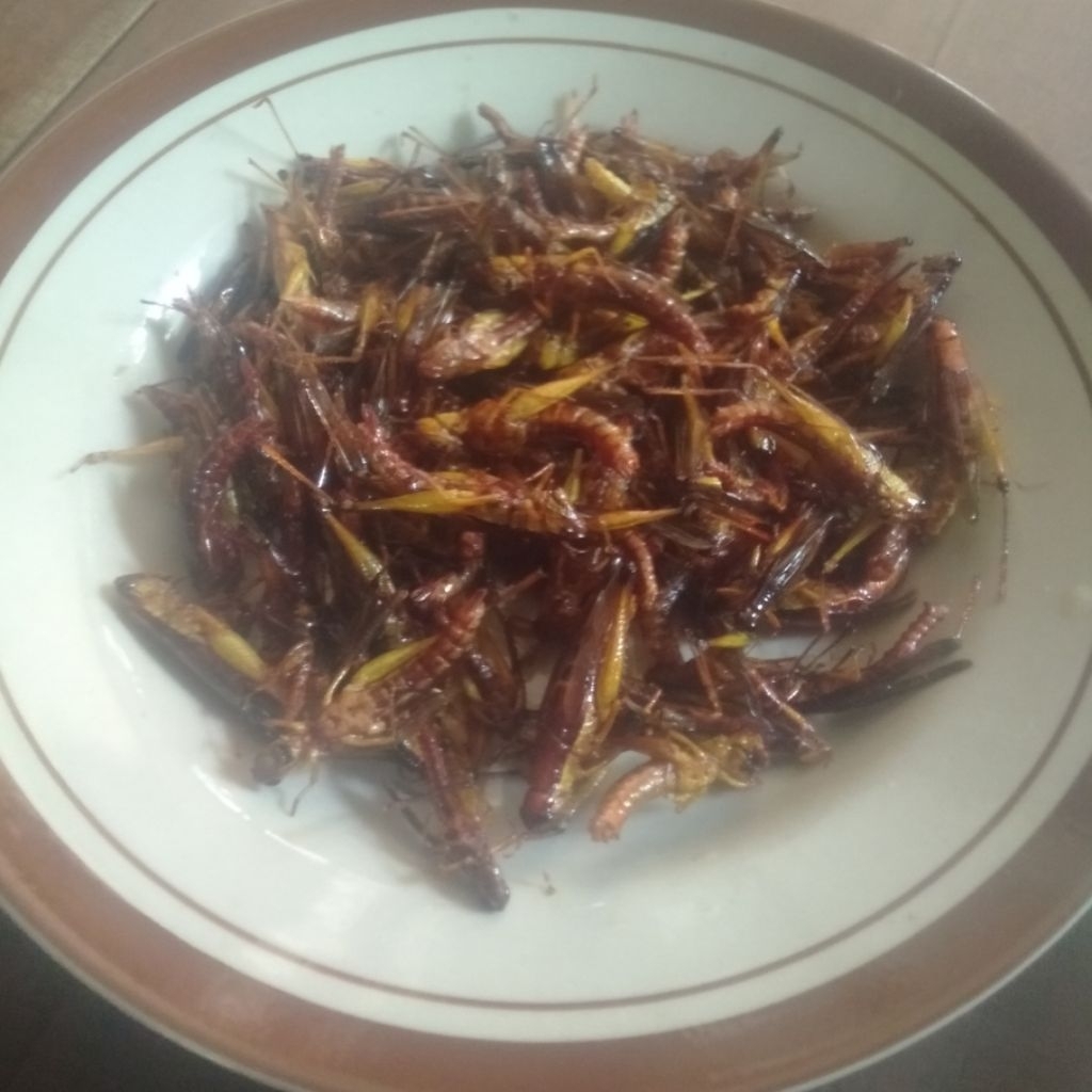 

200 gram goreng belalang segar