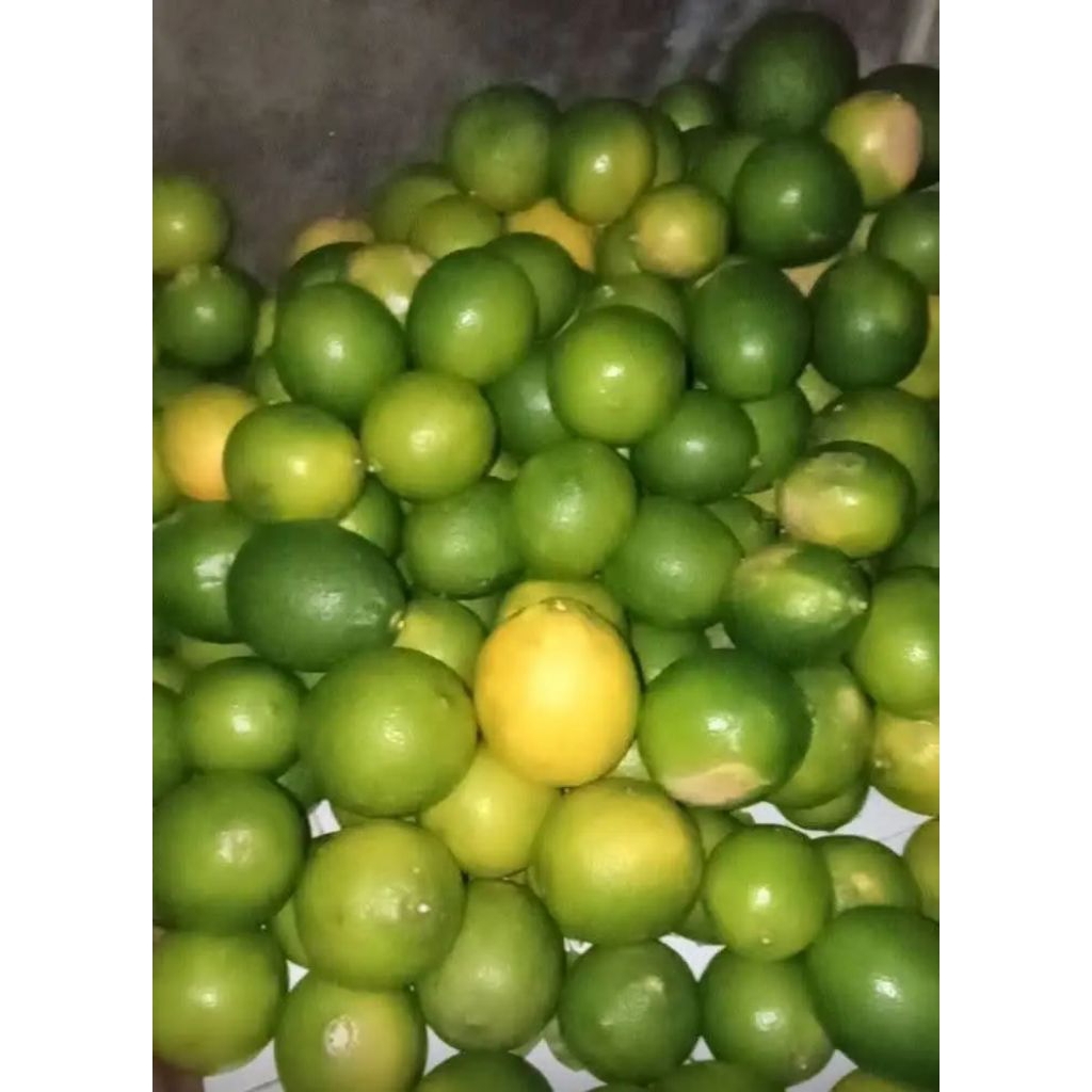 JERUK LEMON 1KG