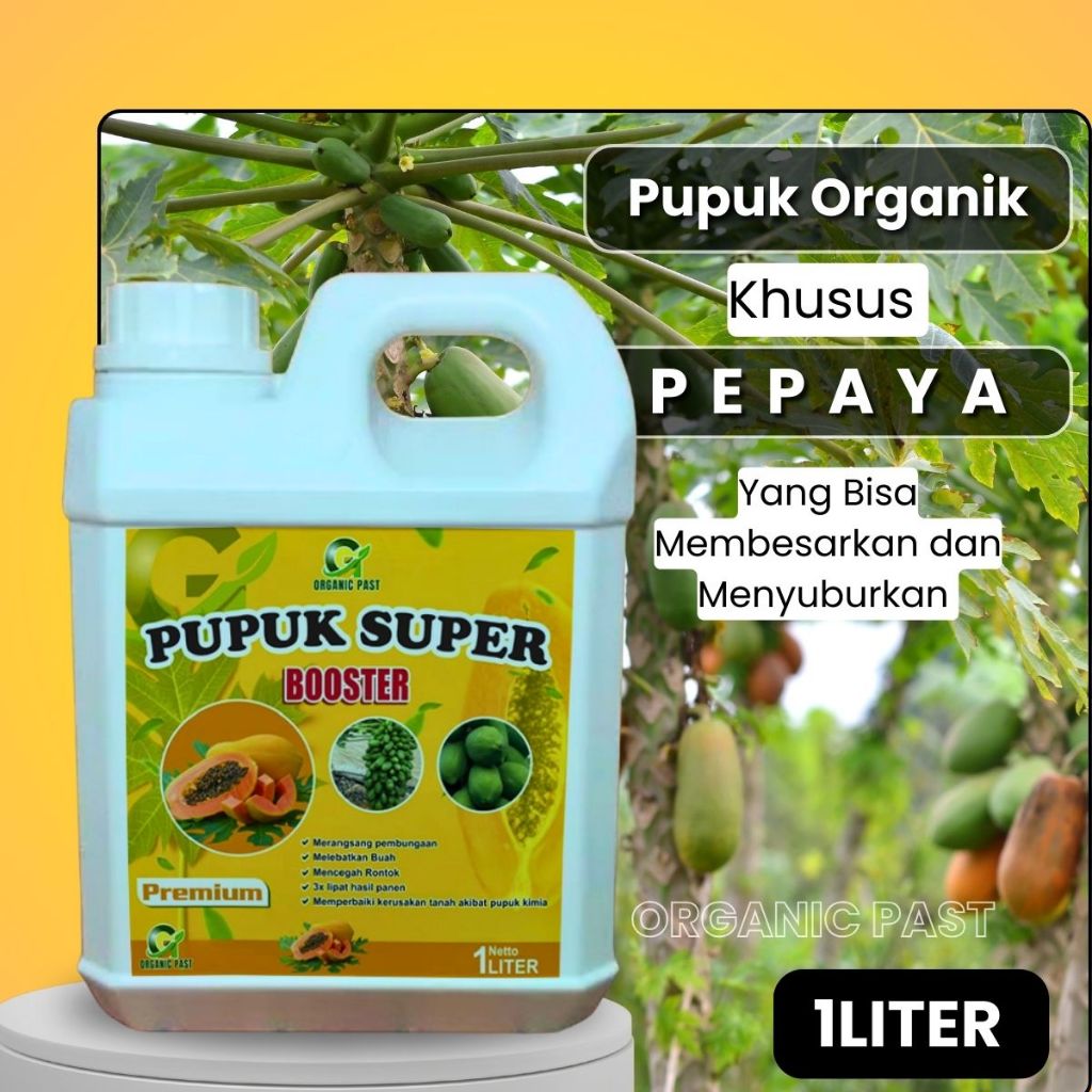 Pupuk pelebat buah Pepaya | Booster pepaya | pupuk booster buah pepaya | booster buah pepaya