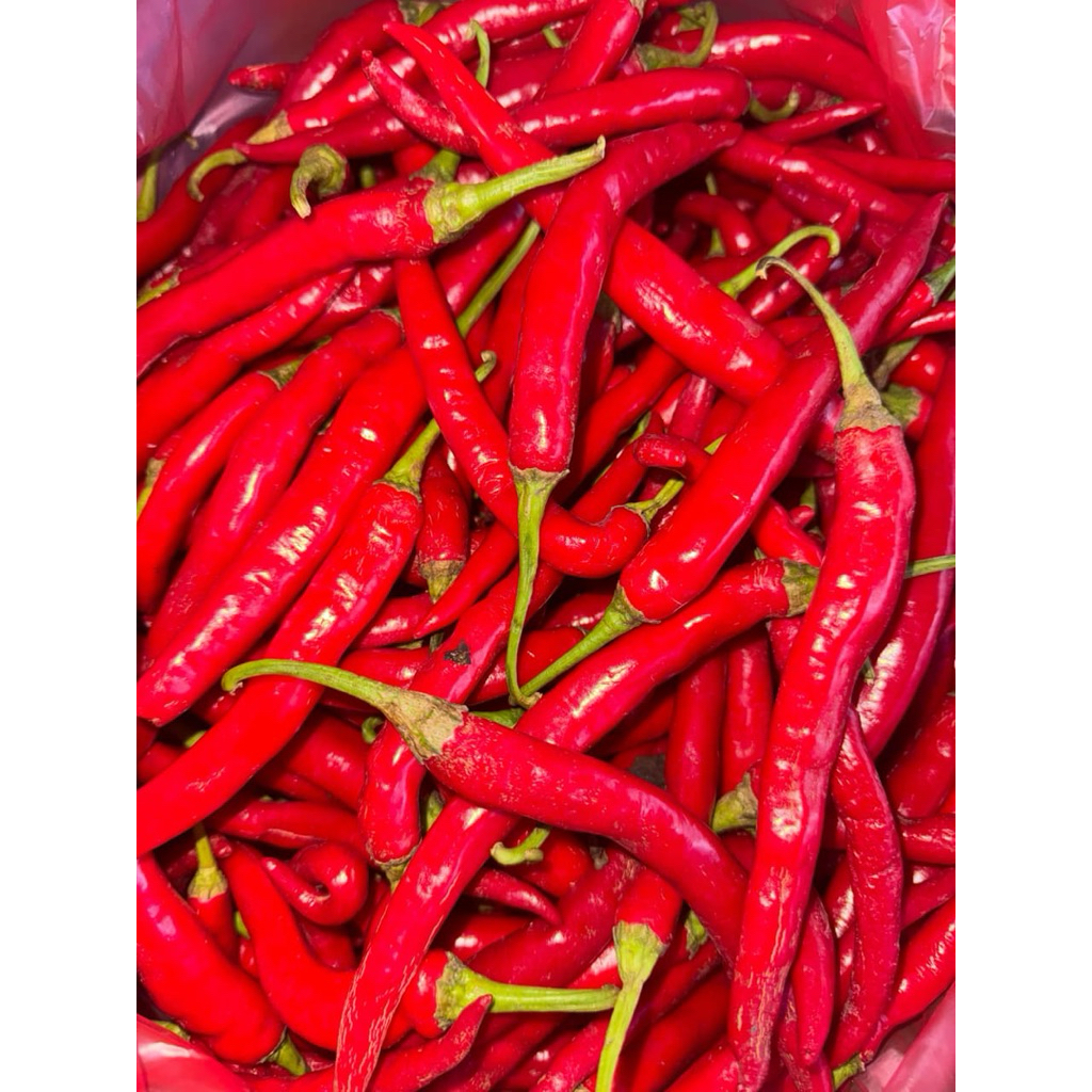 

Cabe Merah Besar Murah Fresh