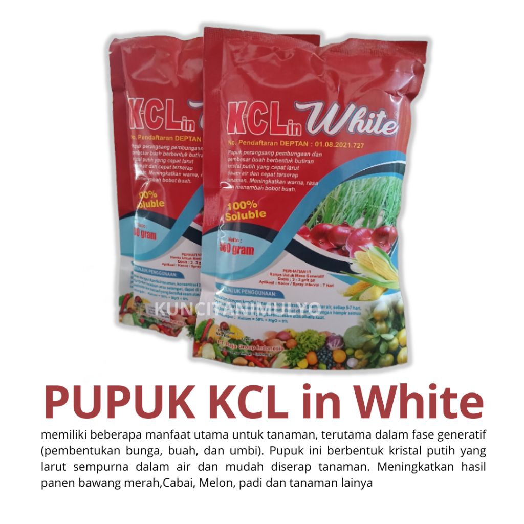 Pupuk Daun KCL in White Boster Buah, Boster Bawang, Boster Cabai, Boster Padi(500 gr)