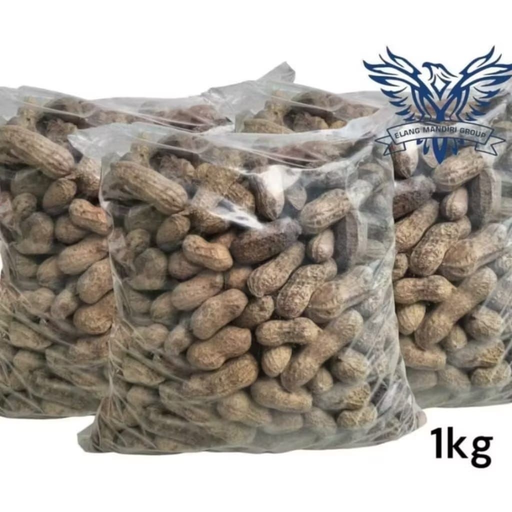Benih Kacang, BijiKacang Tanah, Bibit Kacang Tanah Super 1kg