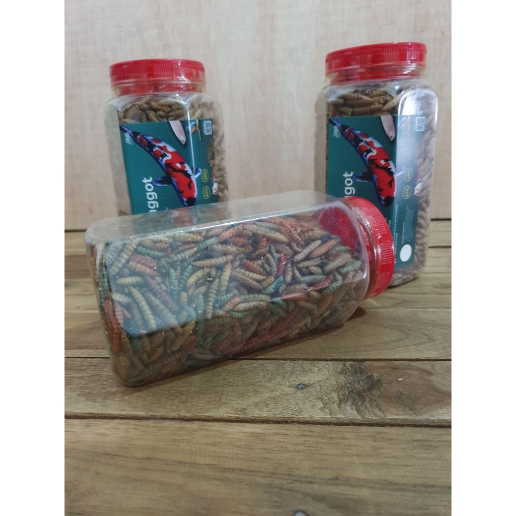 MAGGOT KERING/DRY MAGGOT KEMASAN 100 GRAM
