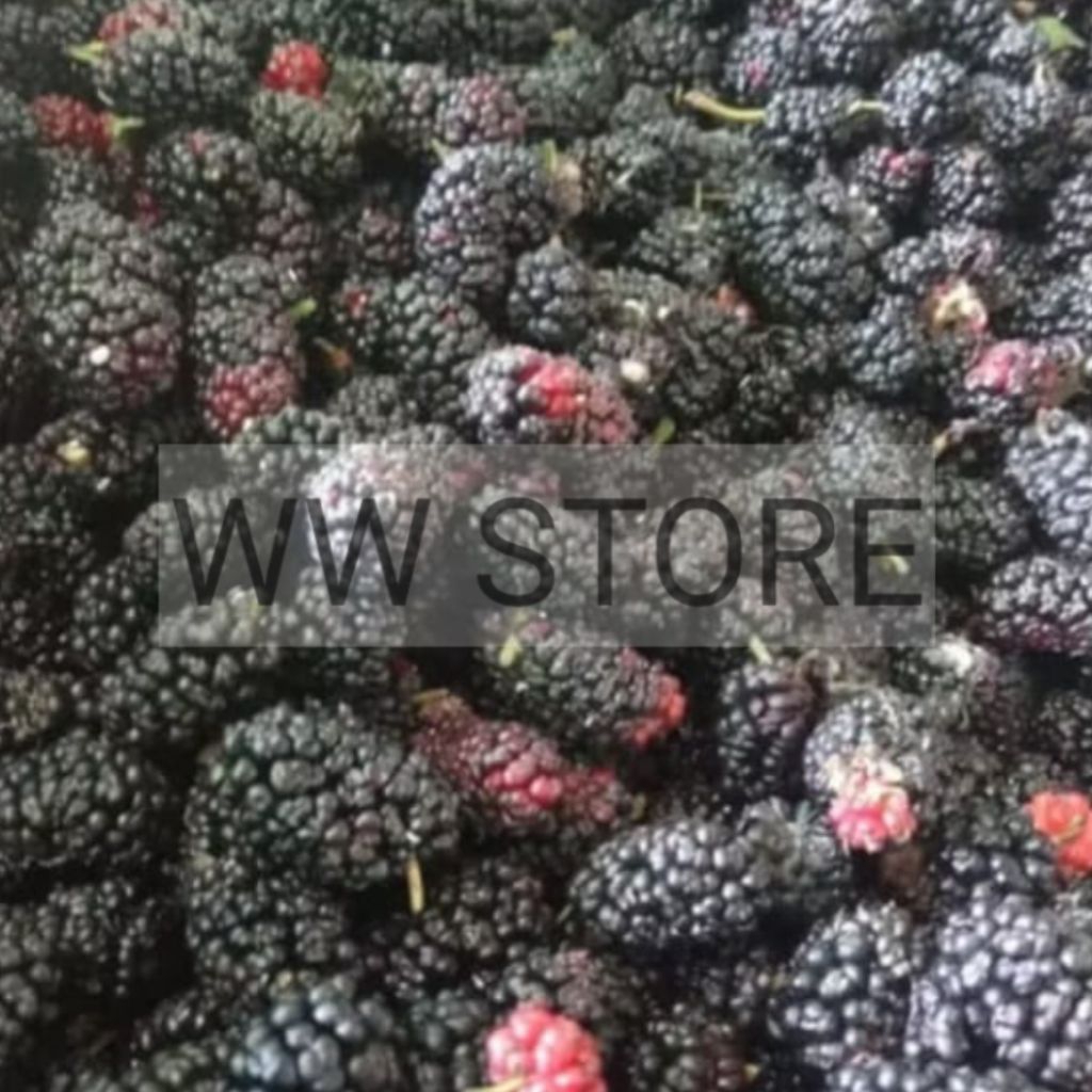 

Buah mulberry segar fresh 150g