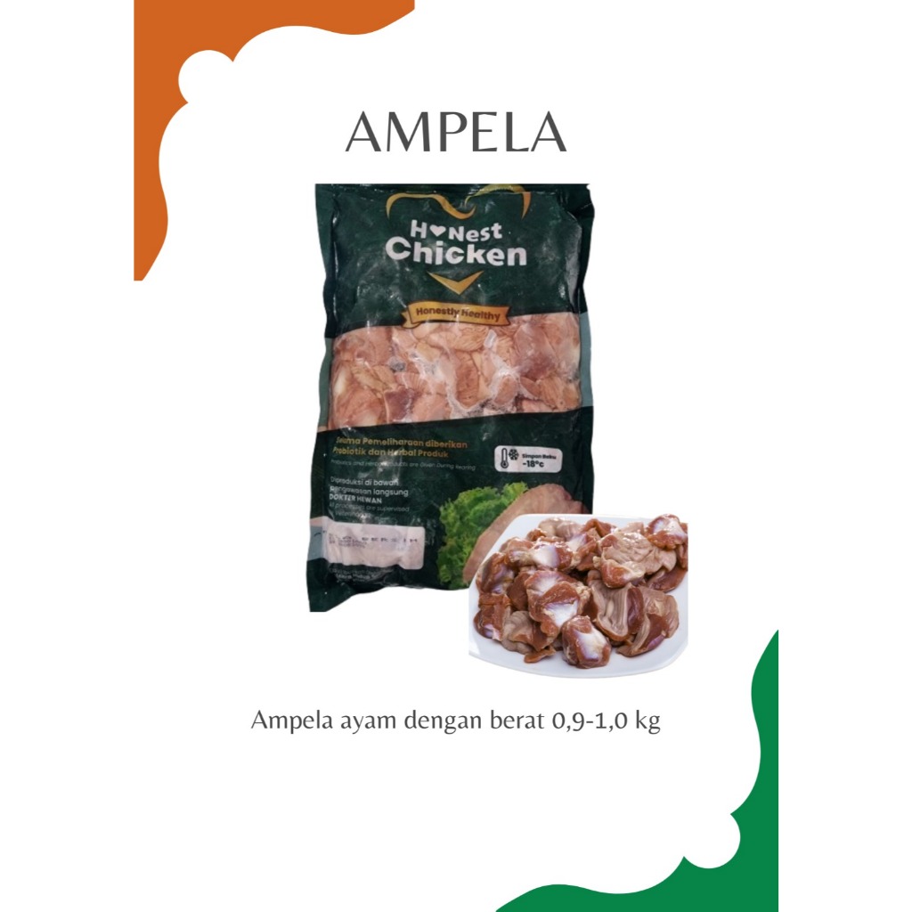 

HONEST CHICKEN AYAM PROBIOTIK AMPELA HALAL NKV 900 GR - 1000 GR