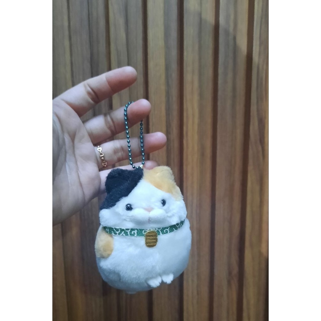 Kucing Amuse / Kucing Higemanjyu ganci / preloved