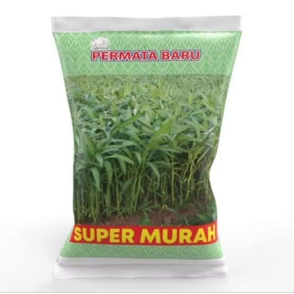 bibit kangkung darat kemasan 5kg