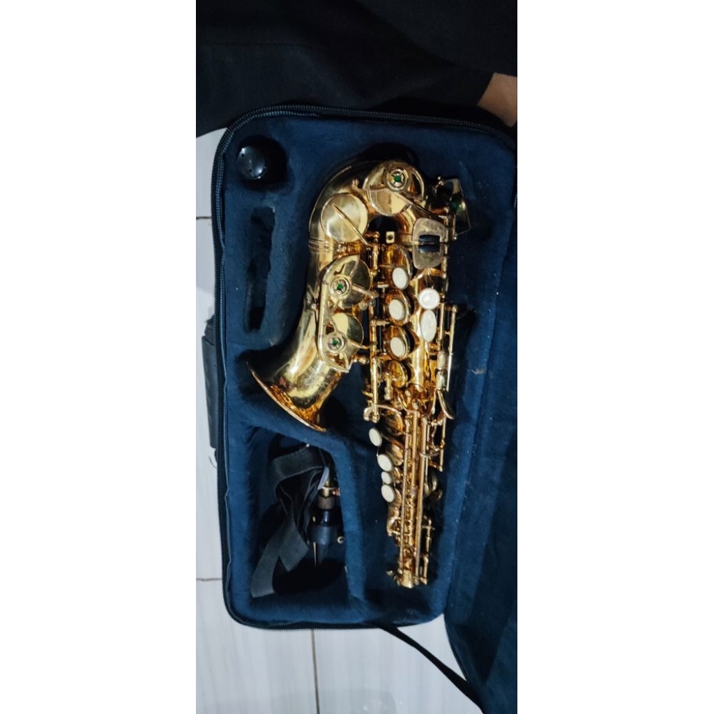 baby Saxophone soprano walker