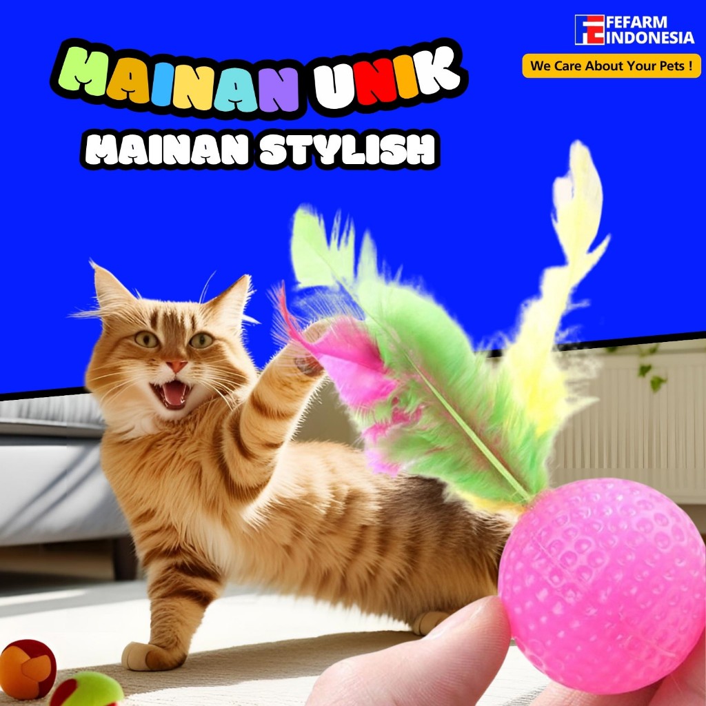 Mainan Kucing Bola Kucing Bola Bulu Warna Warni Mainan Bola Bulu Kucing Premium Quality Mainan Kucin