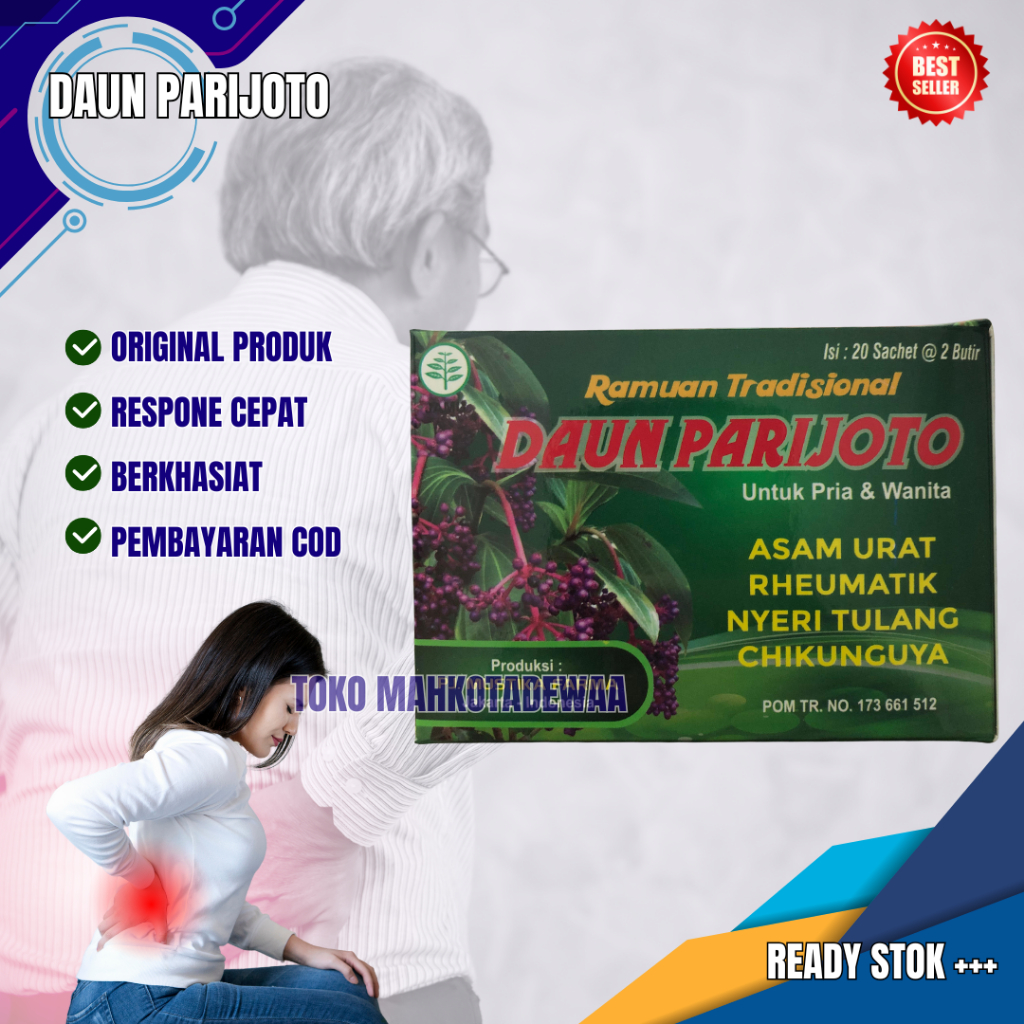 

Daun Parijoto Original Tablet Asam Urat