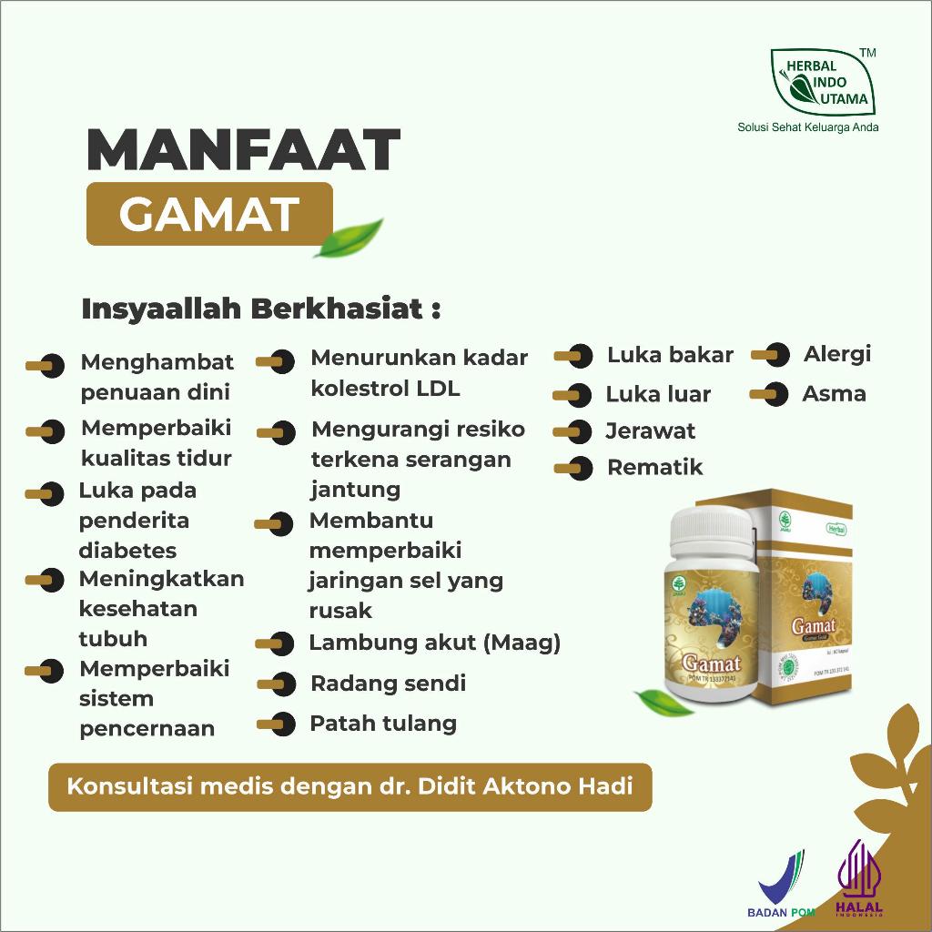 Herbal KAPSUL GAMAT GOLD Asam Lambung  isi 60 Kaps