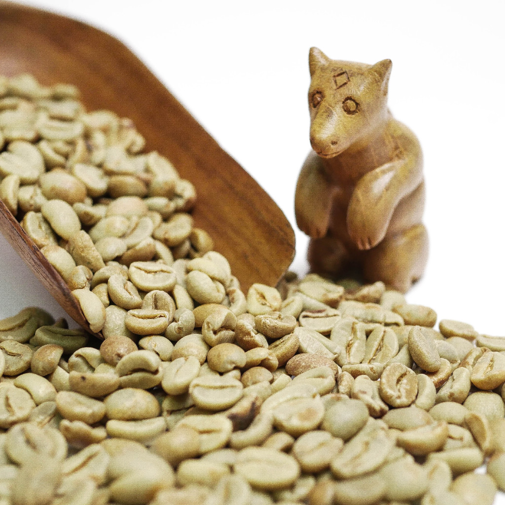 

Green Bean Arabika Gunung Halu Natural / Biji Kopi Mentah 1kg