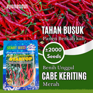 Benih Cabe Keriting Startop Tahan Virus | Anti Layu, Panen 75 Hari, Lebih Lebat