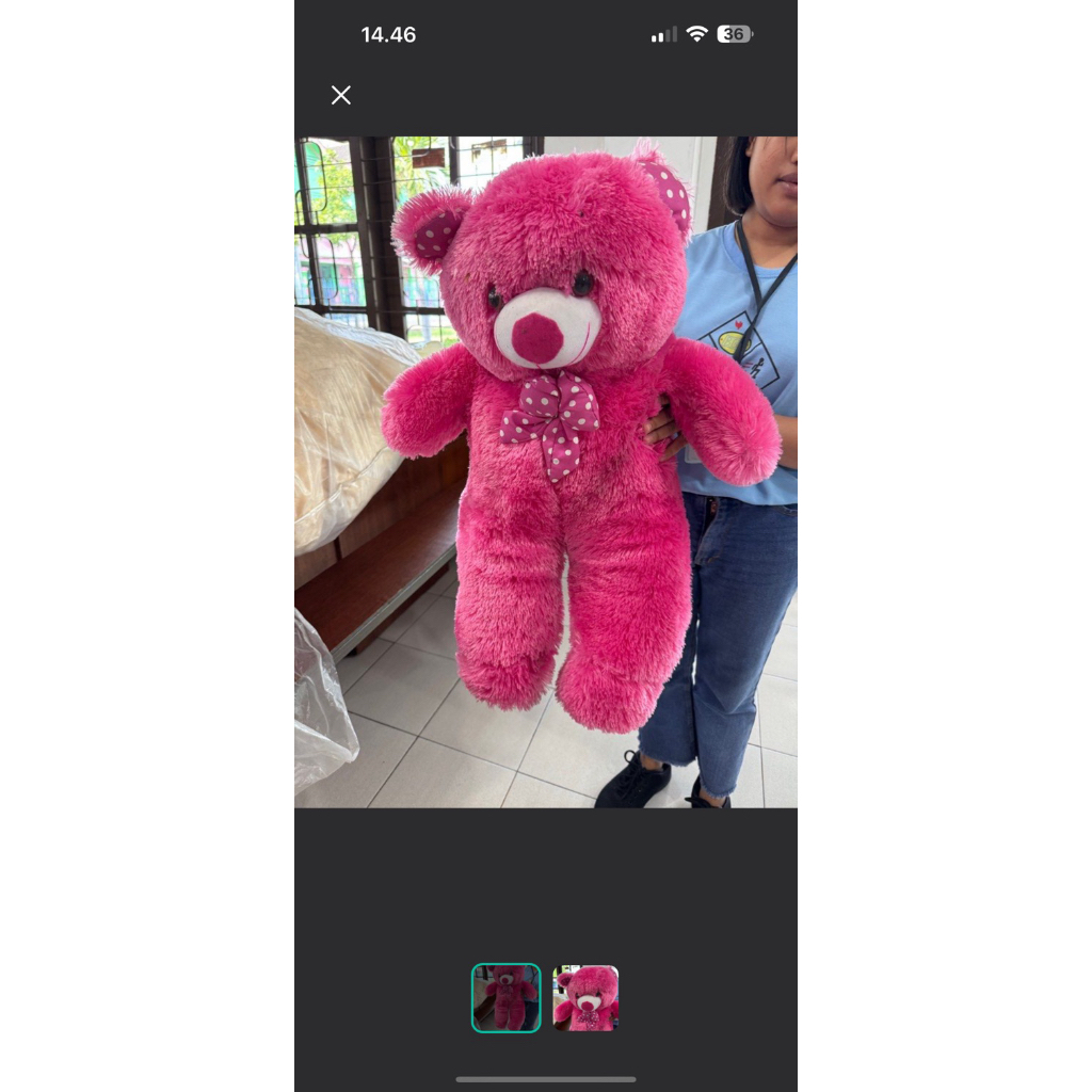 boneka teddy bear sedang