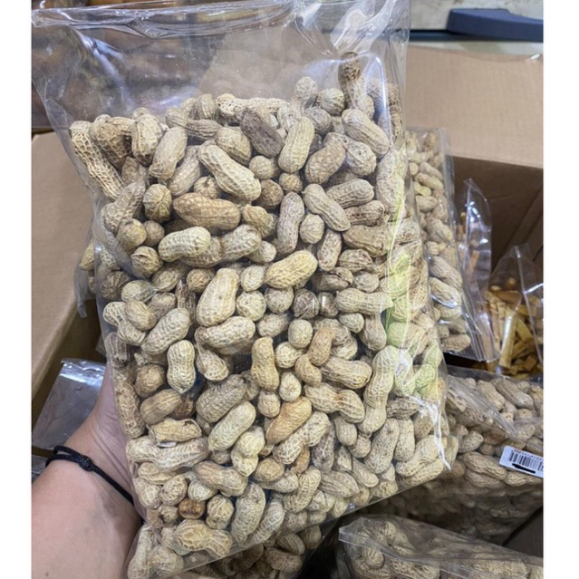 

Kacang Kulit 500gr oven renyah Gurih Asin