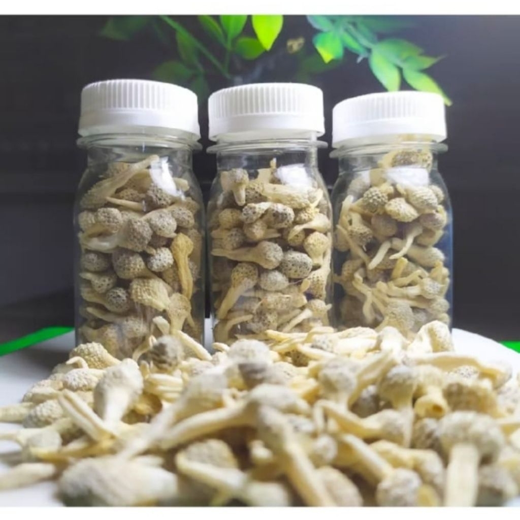 

JAMU MPOT PUTIH ORI isi botol 50ml