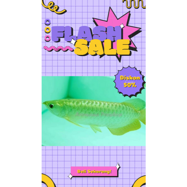 Arowana/Arwana Green Pino 12-14 CM