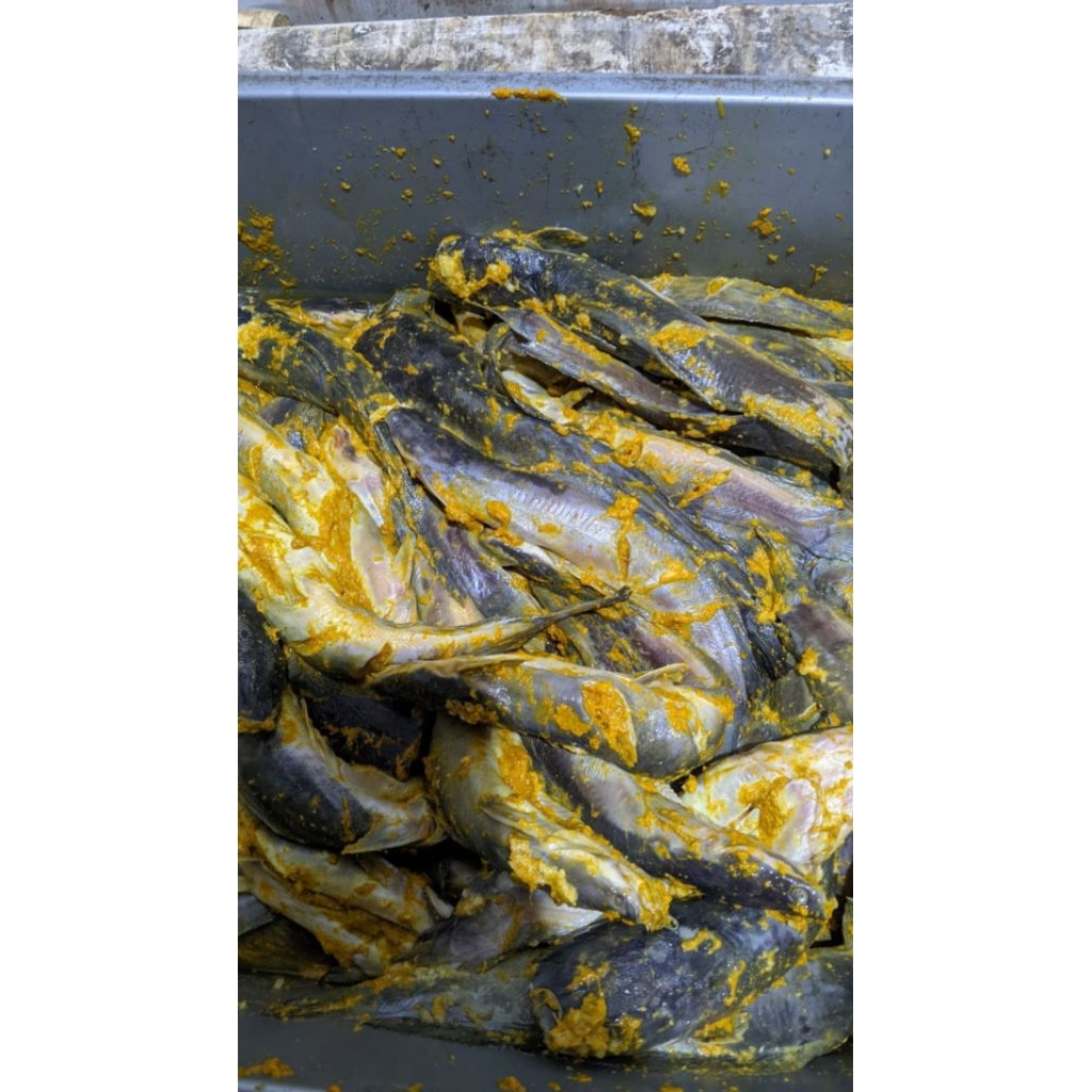 

PROMO!!! GRAB GOSEND IKAN LELE BUMBU KUNING 1 KG FRESH