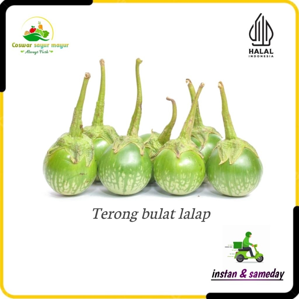 

terong bulat fresh ( 500gram ) sayur fresh harian/terong bulat segar/terong bulat hijau