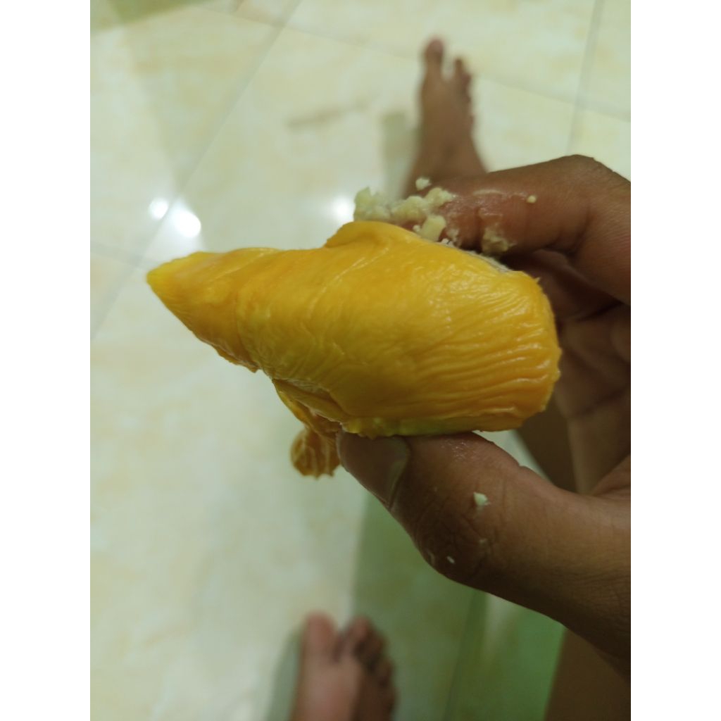 

durian montong