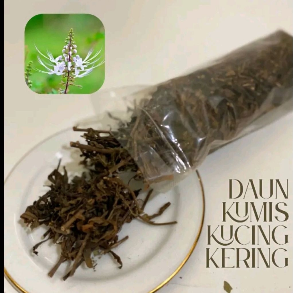 

daun kumis kucing kering herbal asli Indonesia berat 500 gram