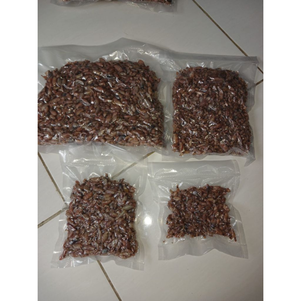 

Cumi-Cumi Baby ukuran 0,5cm-3cm| cumi Baby asin kering | Seafood Frozen Vakum Pack berat 250g
