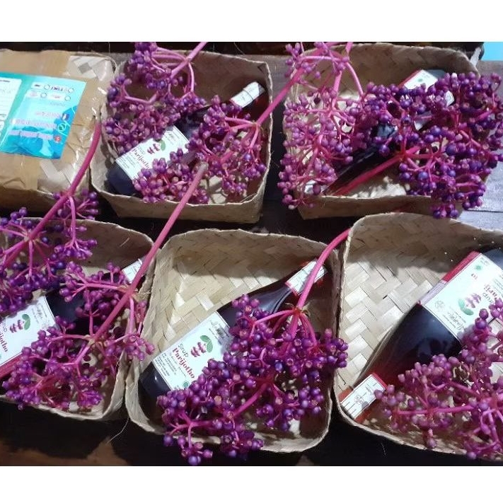 

Sirup Parijoto Alammu 500 ML + 300 Gram Buah Parijoto Muria