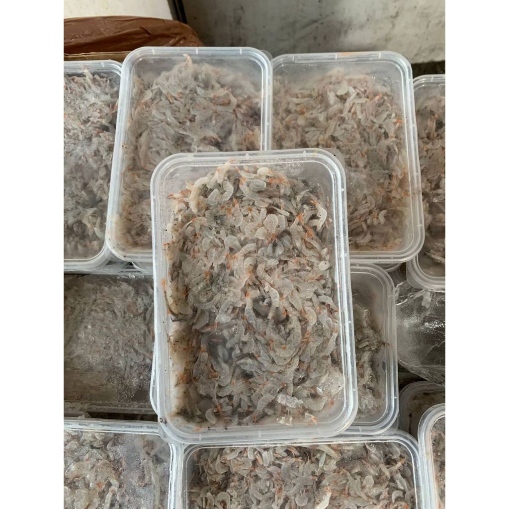 

Udang Rebon Basah 500gr