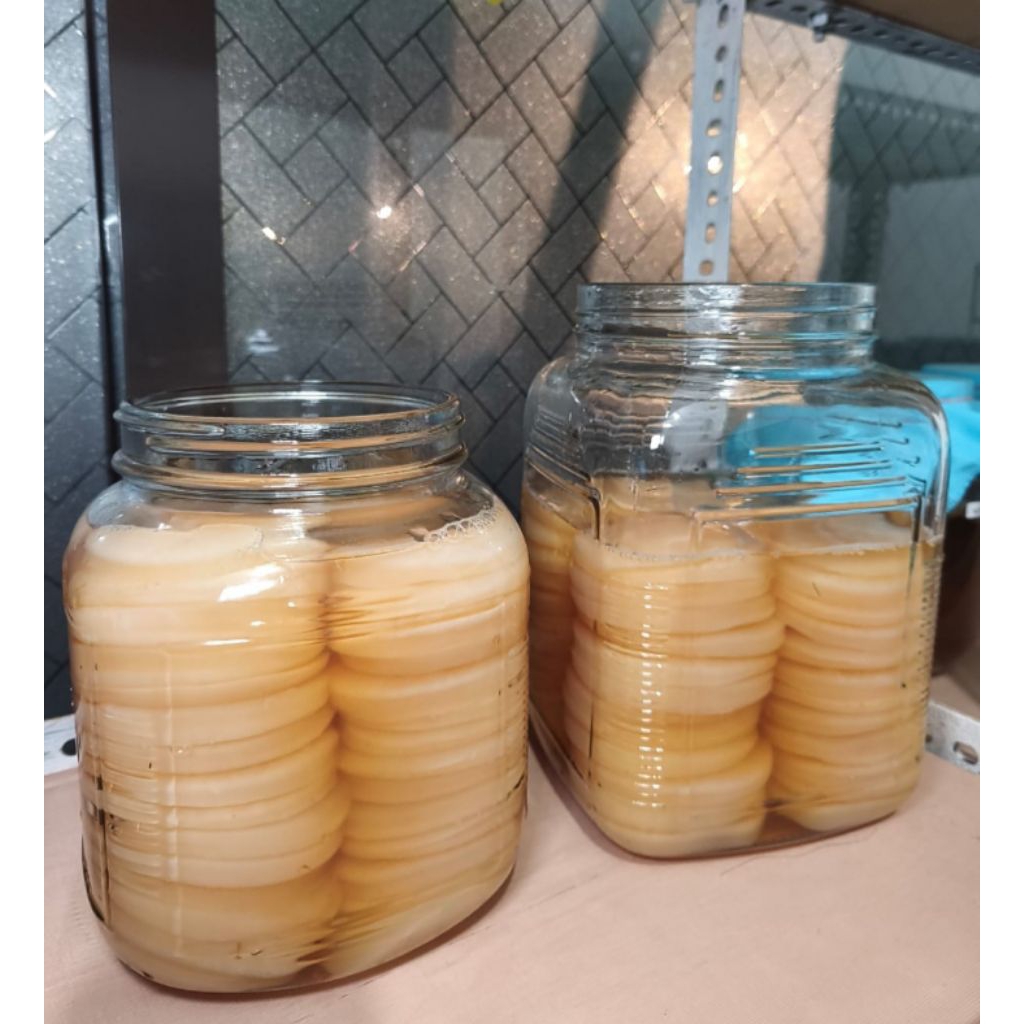

Scoby Mini