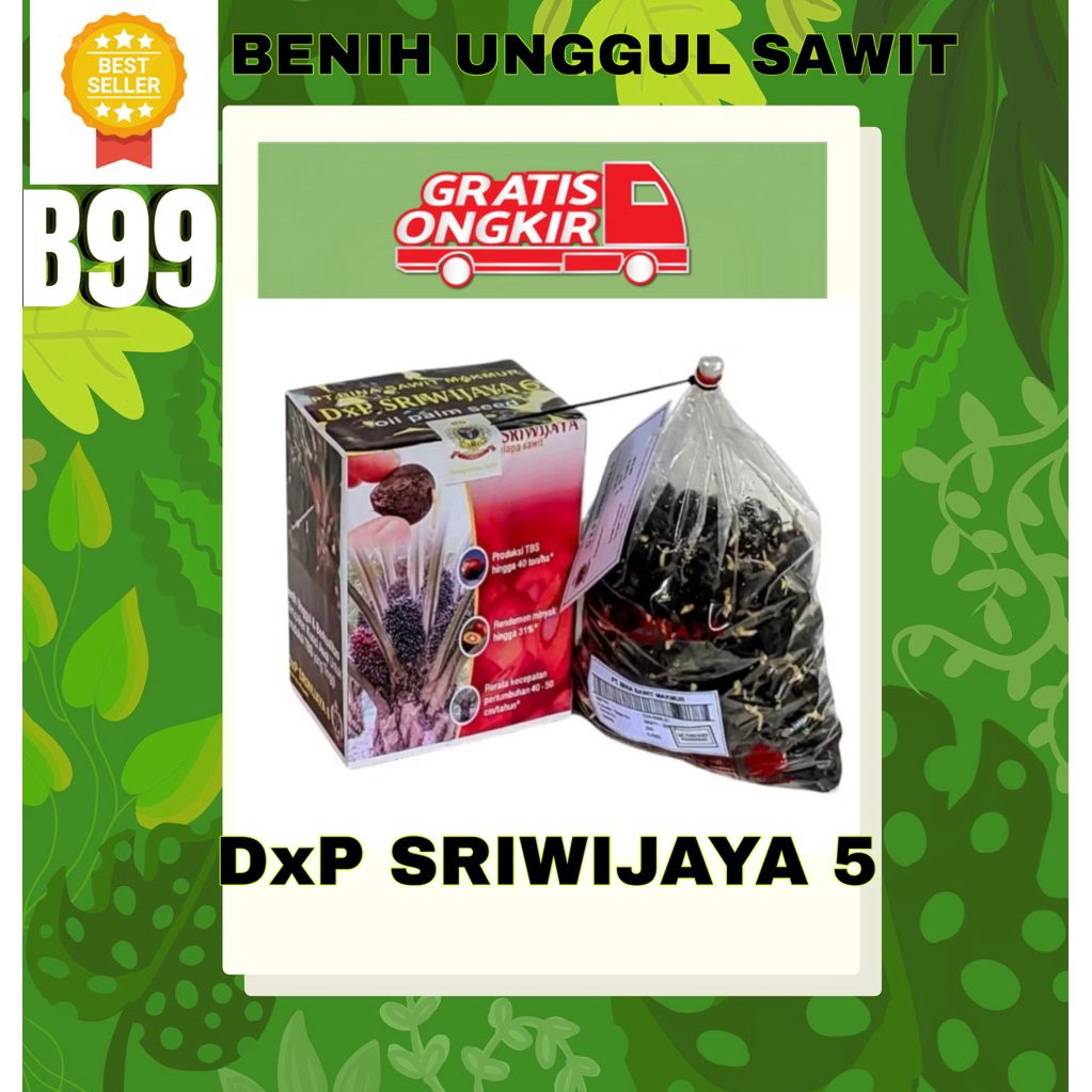 DXP SRIWIJAYA 5 ISI 250 butir