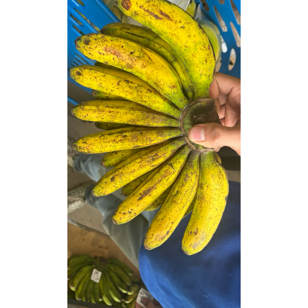 

Pisang Medan Barangan