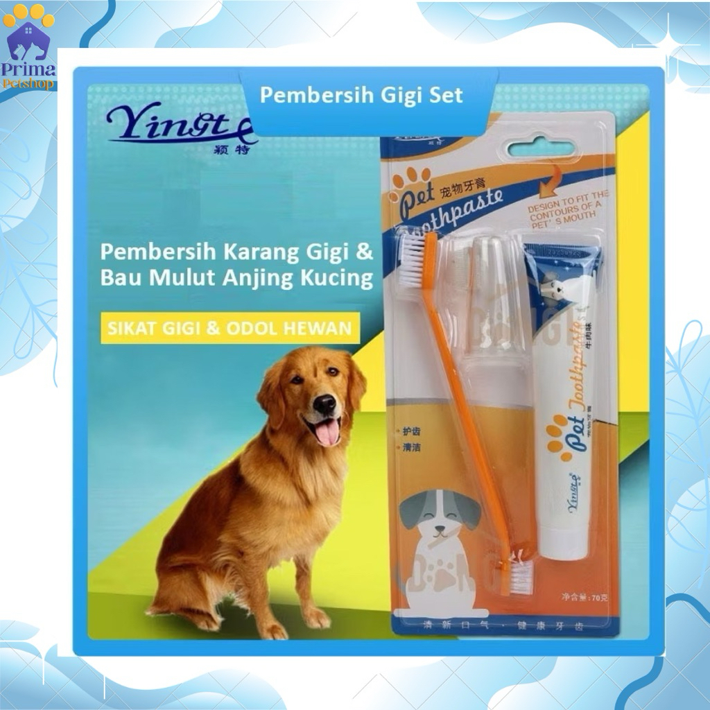 SET LENGKAP Sikat Gigi dan Odol Set Pembersih Karang Gigi dan Bau Mulut Anjing Kucing - Sikat Gigi K