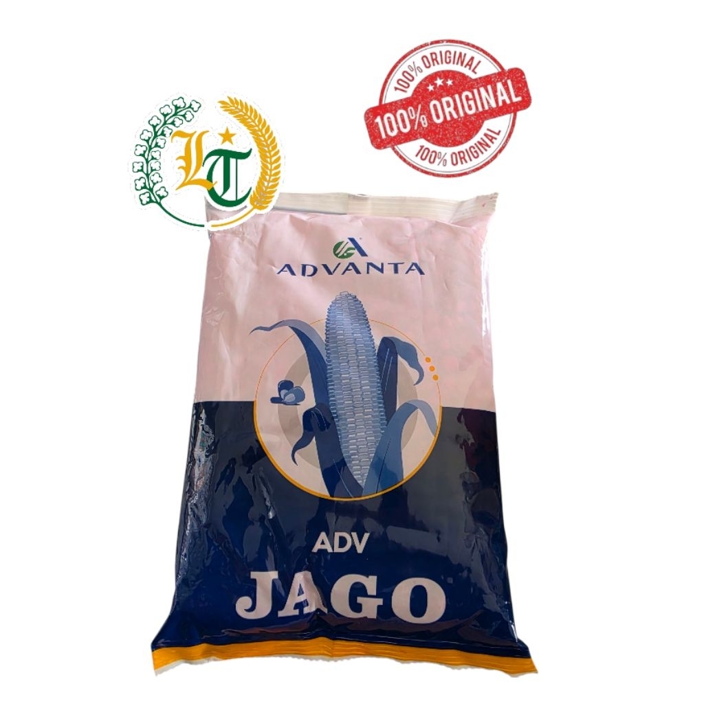 BENIH JAGUNG JAGO Hibrida PAC 789 ADV Jago (1KG)
