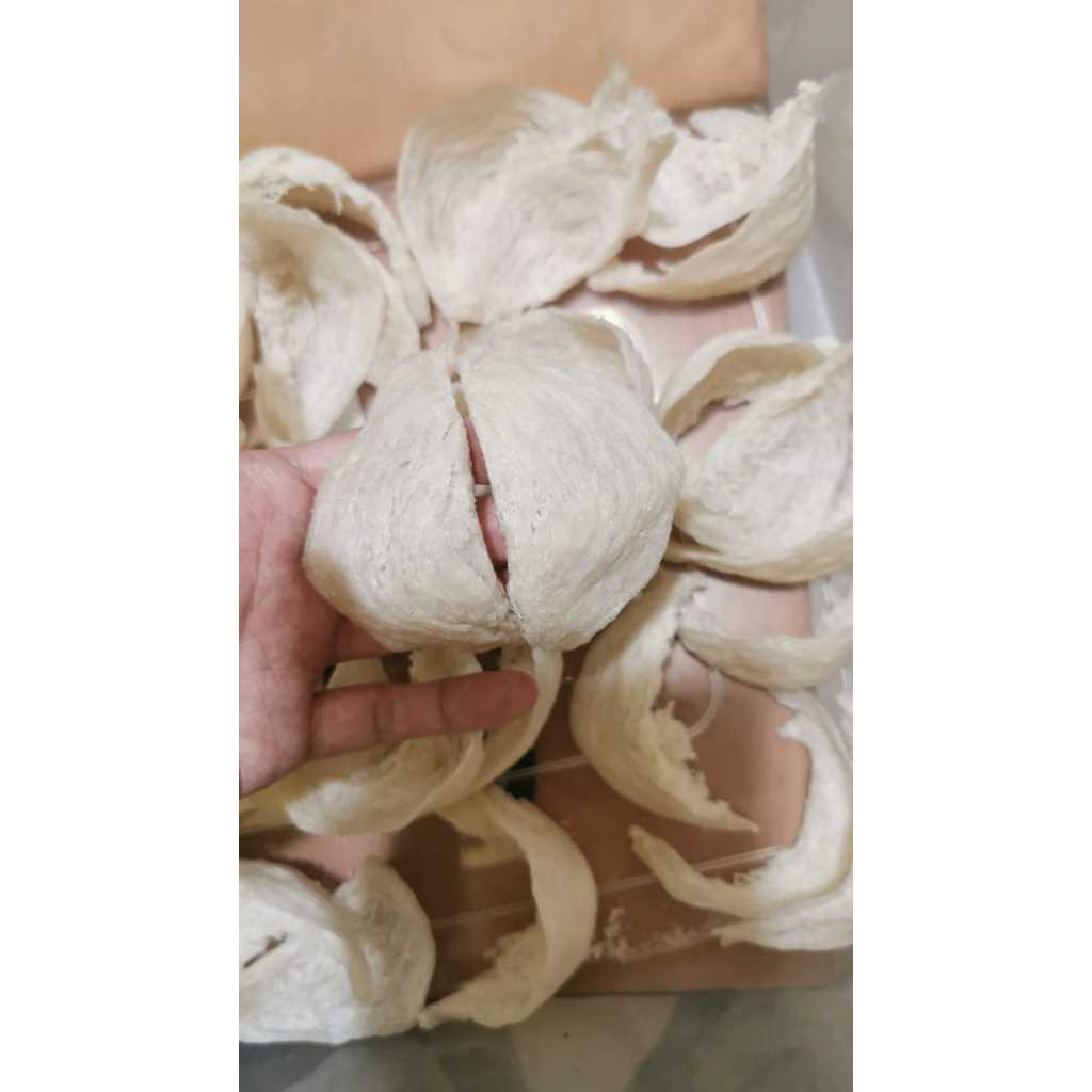 

Sarang burung walet mangkok super cabut setengah kering pan gan tiao kan diao swallow birdnest bird's nest