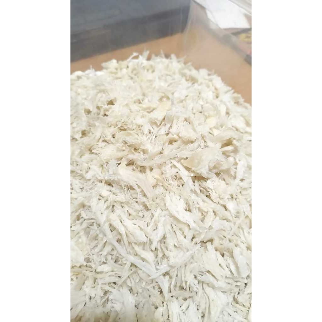 

Sarang burung walet KAKIAN swallow birdnest bird's nest