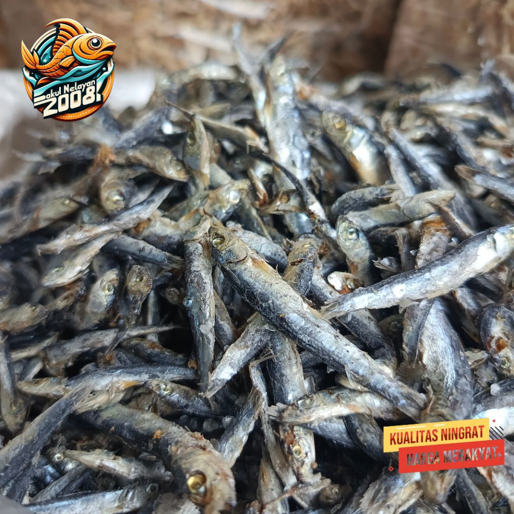 

Ikan teri hitam | teri batu