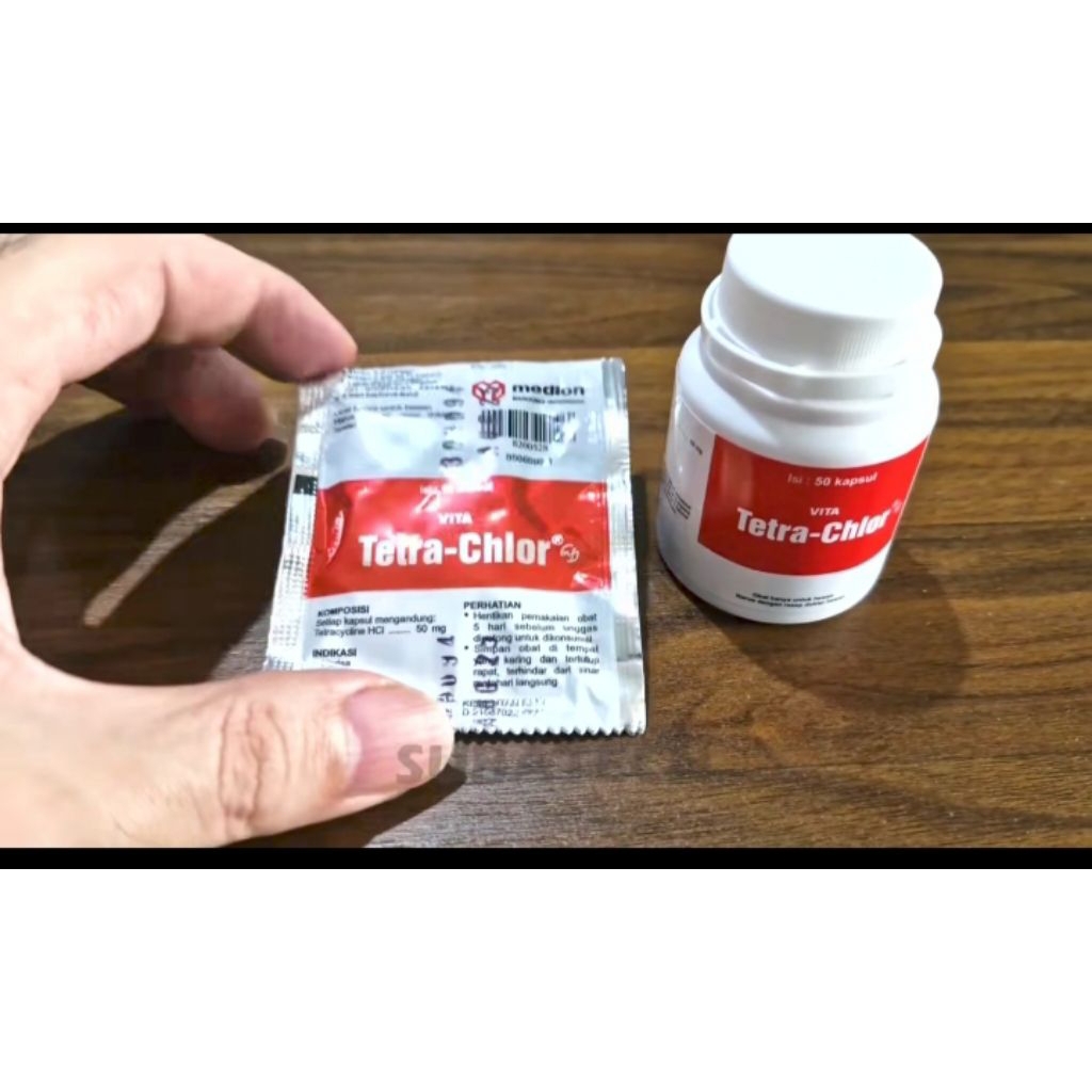 stok obat obatan dan vitamin untuk kesehatan ayam