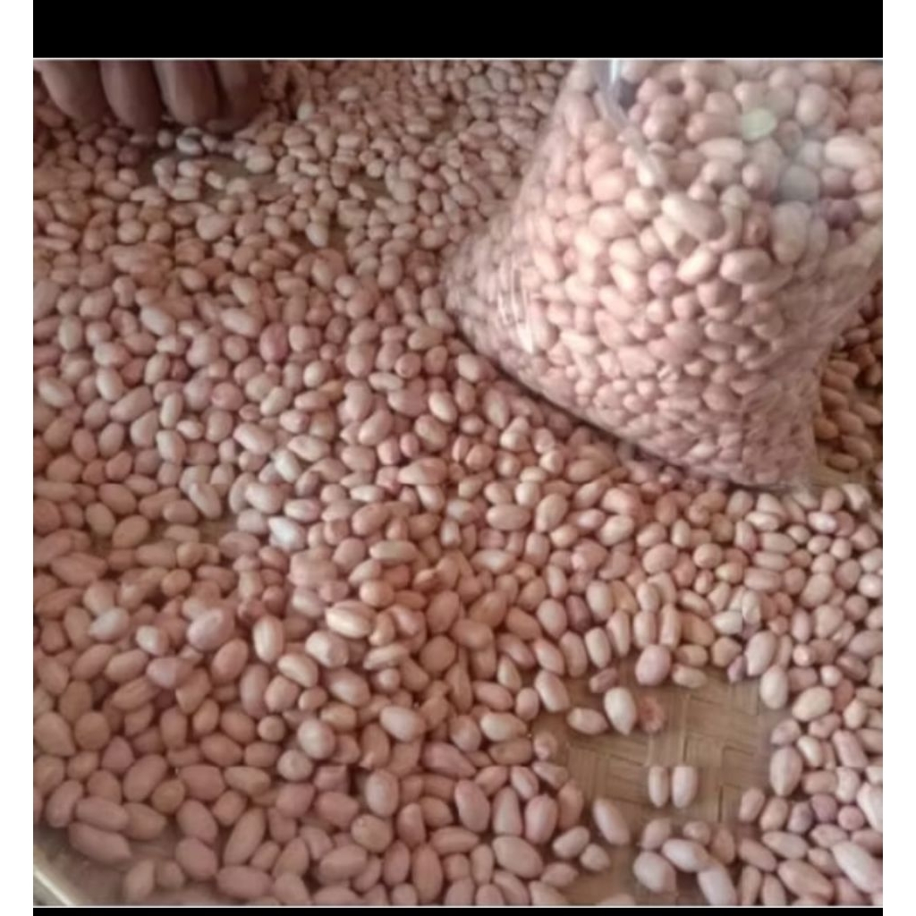 

kacang tanah kupas Madura 1kg